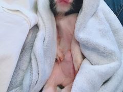 -浣熊柯尔鸭土拨鼠·电玩咖