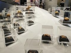 -北京周口店北京人遗址博物馆