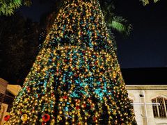 -广州市基督教东山堂