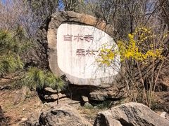 -白水寺森林公园