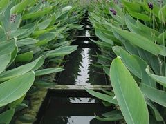 -白鹭湾湿地公园