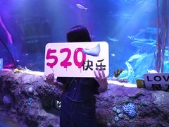 -沈阳海洋探索中心