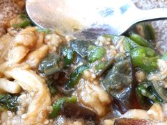 -饭怕鱼(阳光100店)