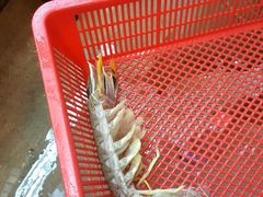-班赞海鲜市场