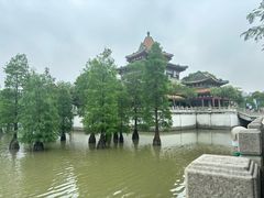 -顺峰山公园
