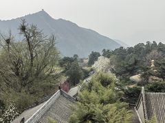 -潭柘寺景区