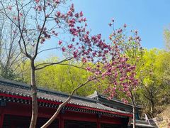 -红螺寺