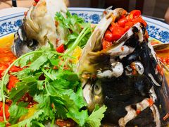 -湘潭九龙鱼头店(城南西路店)