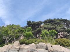 -泰山风景名胜区