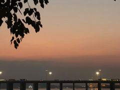 -宝安西湾红树林湿地公园