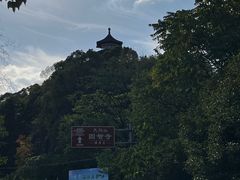 -上海佘山国家森林公园天马山园