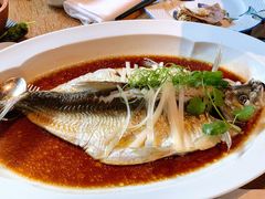 钱湖四宝-朋鱼-宁波柏悦酒店·钱湖渔港