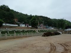 -梁家河村红色旅游区