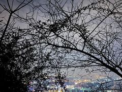 -杭州半山国家森林公园