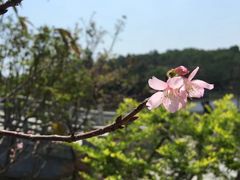 -金山植物公园