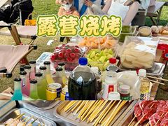 -栖露营camping·天幕烧烤·团建拓展·采摘营地