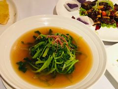 清炒鸡毛菜-苏浙汇(朝外店)