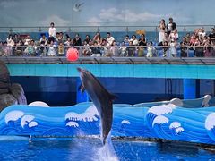 -海合安成都极地海洋公园