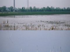 -野鸭湖国家湿地公园