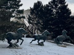 -元大都城垣遗址公园