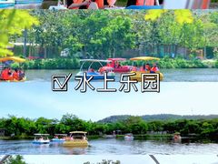 -丹樱生态园