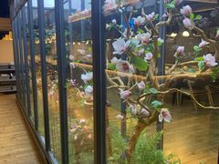 -拈菜(观音桥阳光世纪店)