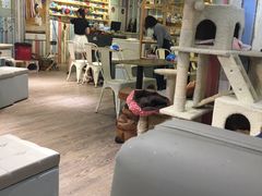 大堂-小时光咖啡馆(开森度假森林店)