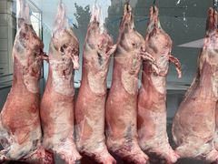 -竹叶涮肉坊(总店)