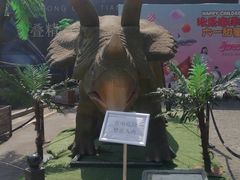 -重庆欢乐海底世界