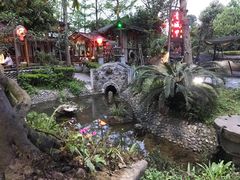 -青城甲(青城山店)