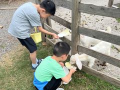 -前小桔亲子创意农场·草莓采摘·露营烧烤