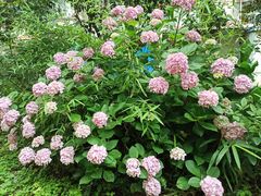 -共青国家森林公园-售票处