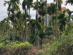 -七仙岭温泉国家森林公园