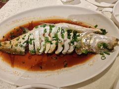-金美华轩(东方路齐鲁店)