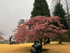 -雕刻之森美术馆
