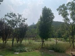 -南京市无想山景区