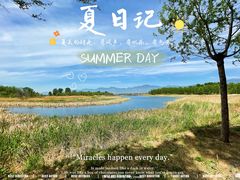 -野鸭湖国家湿地公园