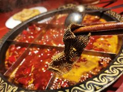 -黄家码头老火锅(解放碑旗舰店)