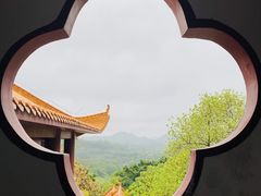 -深圳仙湖植物园
