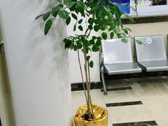 -上海仁爱医院