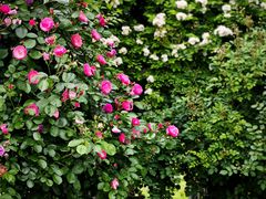 -西山漾湿地公园