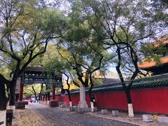 -北京国子监胡同