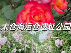 -昆山城市生态森林公园