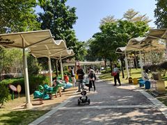 -荔湾区儿童公园