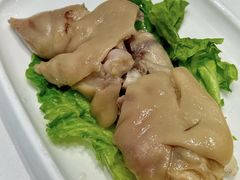 -丁老爷子苏香圆