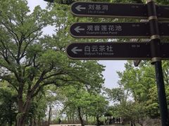 -紫金山山顶公园