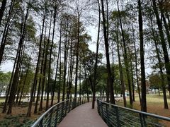 -月湖风景区