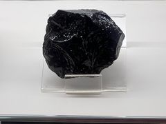 -中国地质博物馆
