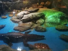 -多彩贵州城极地海洋世界