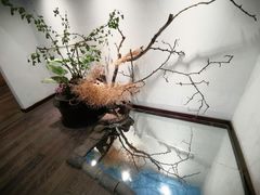 -乐领拈花溪·林涧食韵